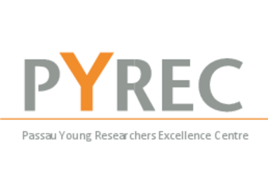 Schriftzug Entwürfe PYREC.indd