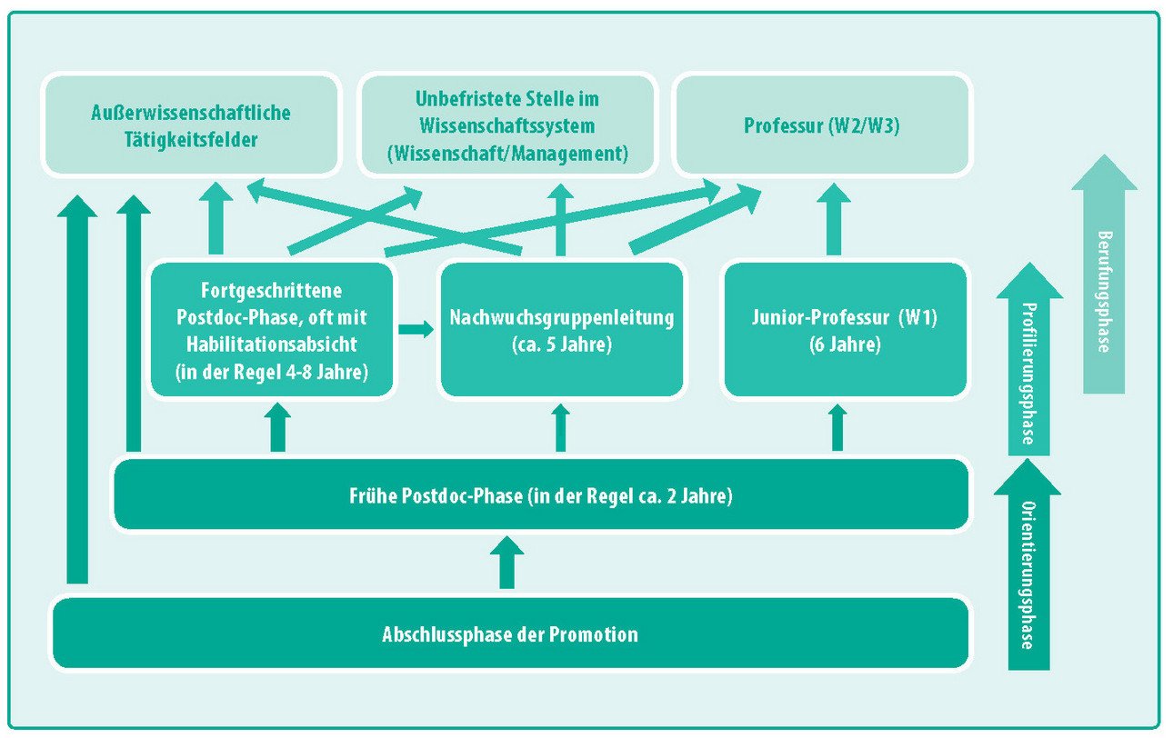 Die Grafik zeigt die Abschnitte in der Postdoc-Phase. Die fr&uuml;he Postdoc-Phase dauert etwa zwei Jahre und dient der Orientierung. Je weiter die Postdoc-Phase fortschreitet, desto schwieriger wird ein Wechsel in au&szlig;erwissenschaftliche T&auml;tigkeitsbereiche, obwohl dies selbst nach der Habilitation grunds&auml;tzlich noch m&ouml;glich ist. Die anderen beiden Karrierewege sind die Berufung auf eine W2- oder W3-Professur oder eine Stelle im Wissenschaftsmanagement. Die Berufungsf&auml;higkeit auf eine Professur, kann dabei &uuml;ber die Habilitation, die Leitung einer Nachwuchsgruppe oder einer Juniorprofessur erreicht werden. Die Phase bis zur Berufung kann dabei zwischen f&uuml;nf und acht Jahren andauern.