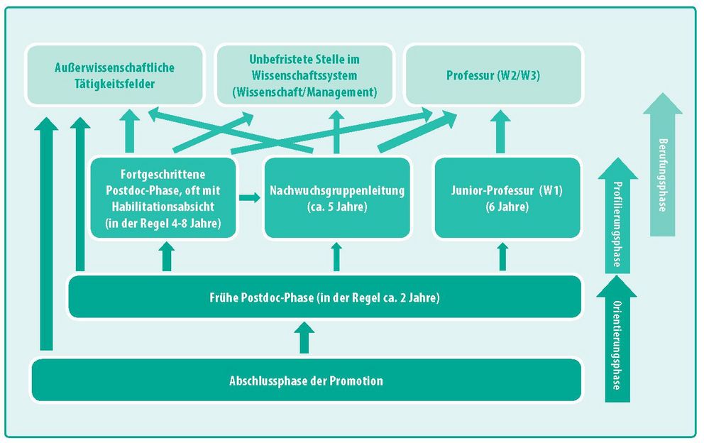 The diagram provides a schematic of the different parts and career pathways of the postdoc phase.